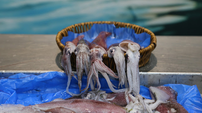 Tari Fresh ( Fresh Fish ) - Dubai