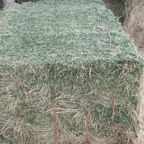 حلالي لتجارةالاعلاف والمواد الزراعية - Abu Dhabi