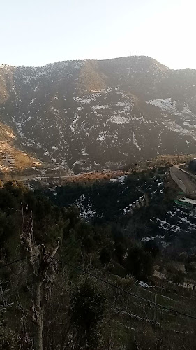 Pakistan Super Market Al Ain - Abu Dhabi