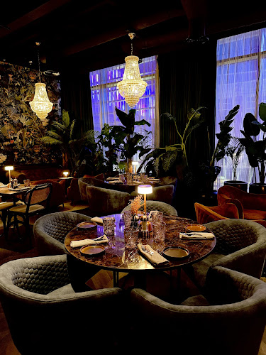 Comentarii opinii despre NOX - City Walk Dubai