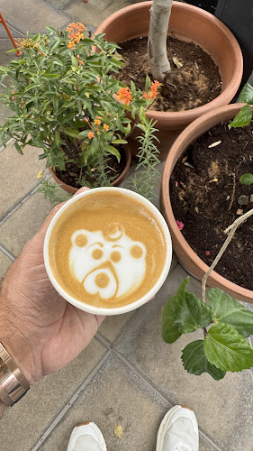 Flavors Grill Abu Dhabi - Abu Dhabi