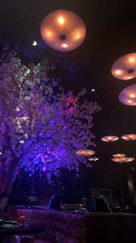 Asia Asia Abu Dhabi - Abu Dhabi