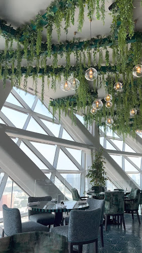 Cyan Brasserie - Abu Dhabi