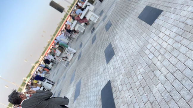 Comentarii opinii despre The Stables Dubai at Meydan World Cup