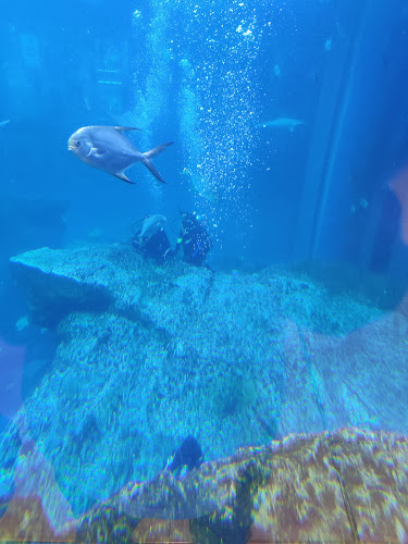 Joe's Crab Shack - Dubai