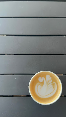 Comentarii opinii despre ENZO