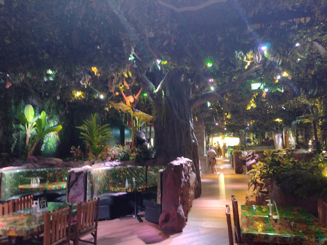 Rainforest Cafe | Dubai Mall - Hospitality and gastronomy