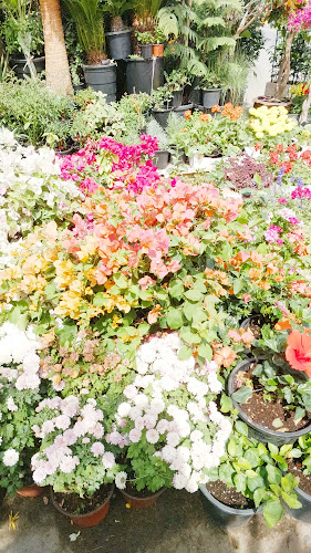 Emirates garden market - Hospitality and gastronomy