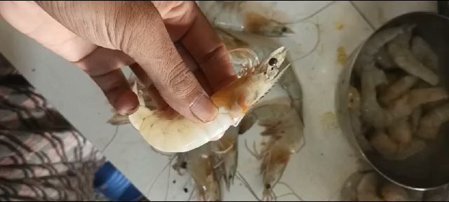 Comentarii opinii despre Fish Gourmet Seafood Restaurant