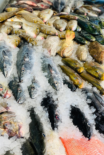 Al Shamkhah - SH8 - Abu Dhabi