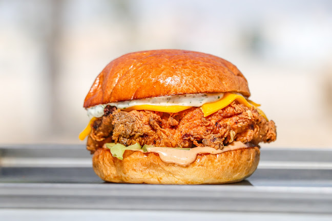 Comentarii opinii despre tbm.house