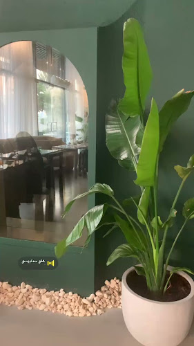 Comentarii opinii despre The bench