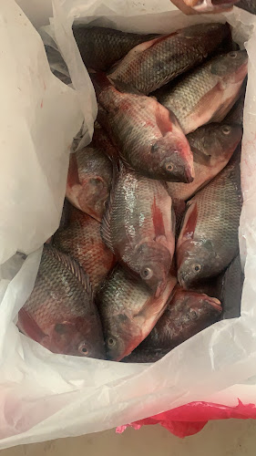 Comentarii opinii despre Dawreena Resturant & cafe