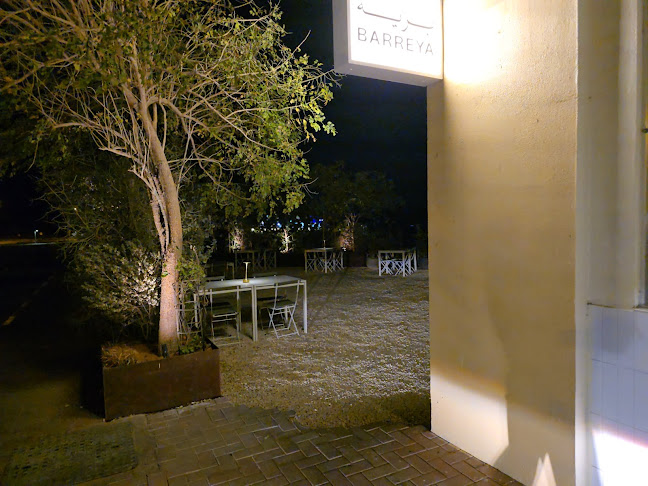 Barreya restaurant مطعم برية - Dubai