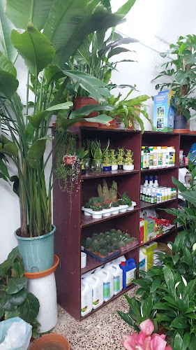 Emirates garden market