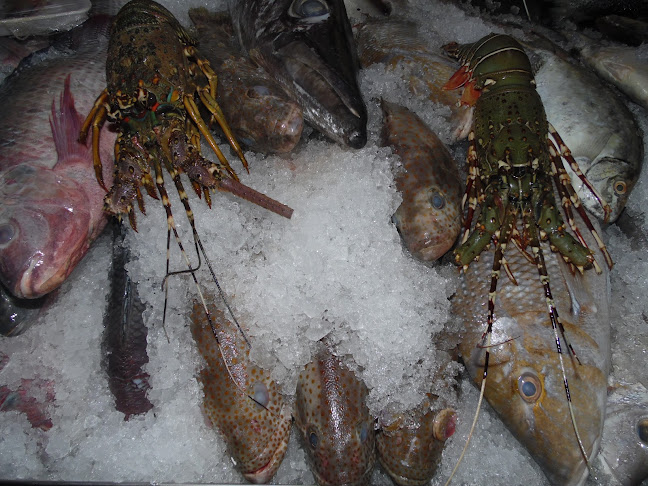 Opinii despre TABAQ AL HIJAZI RESTAURANT SHARJAH în Sharjah - Hospitality and gastronomy