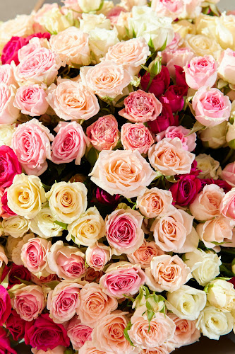 Double Jenya Flower Shop - Dubai