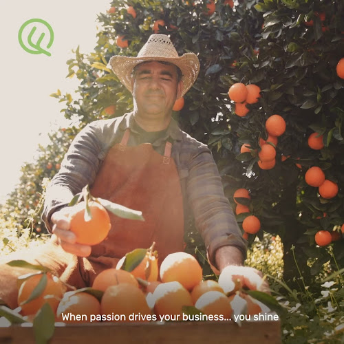 Opinii despre QualityFood | Rethink Grocery în Dubai - Hospitality and gastronomy