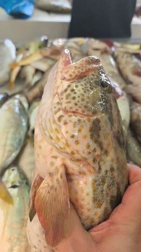 Sheikh Rashid Bin Saeed Al Maktoum St - Free Zone - Ajman