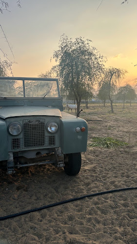 Opinii despre Oryx în Dubai - Hospitality and gastronomy