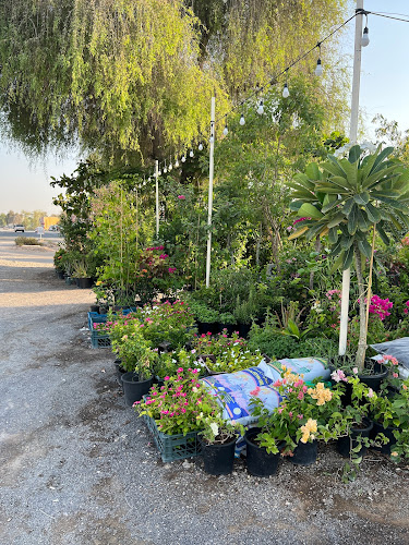 Al Digdaga - Ras Al Khaimah