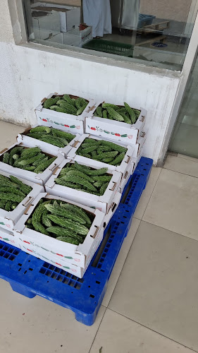 المجالس لتجارة الخضار والفواكه - Hospitality and gastronomy