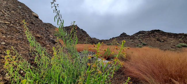 Comentarii opinii despre Bidya