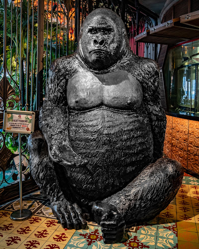 Comentarii opinii despre MAMA ZONIA