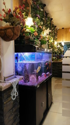 6PHQ+337 - 124th St - Al Mu'tarid - Ugdat Al Muwaiji - Abu Dhabi