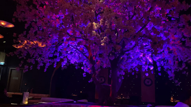 Opinii despre Asia Asia Abu Dhabi în Abu Dhabi - Hospitality and gastronomy