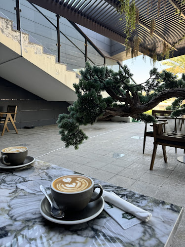 The bench - Abu Dhabi