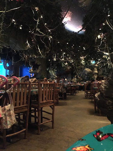 Rainforest Cafe | Dubai Mall - Hospitality and gastronomy