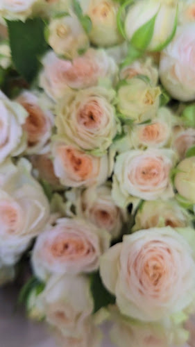 Opinii despre Exotica Flowers în Fujairah - Hospitality and gastronomy