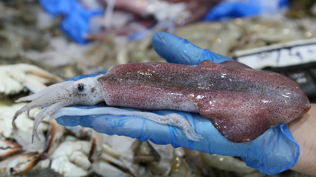 Comentarii opinii despre Tari Fresh ( Fresh Fish )