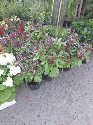 Al Doum St - Zayed Port - Harbour - Abu Dhabi