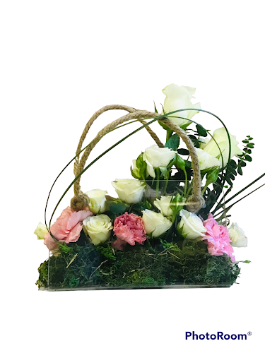 Comentarii opinii despre Dar Al Yasmin