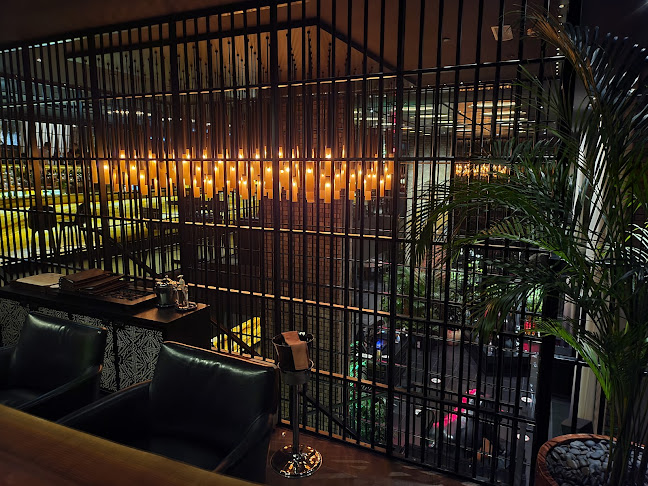 Comentarii opinii despre Toro Toro by Chef Richard Sandoval