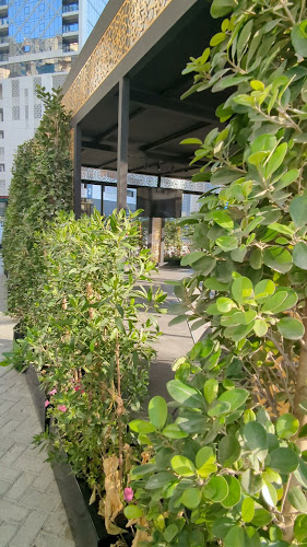 Opinii despre Bait Al Kashta & sweets în Sharjah - Hospitality and gastronomy