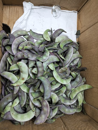 Comentarii opinii despre HAJI SULTAN FRUITS AND VEGETABLES