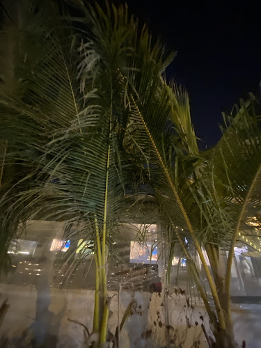 behind Fujairah Trade Centre - Fujairah City Center - Fujairah