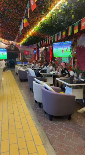 Transilvania Cafe - Hospitality and gastronomy