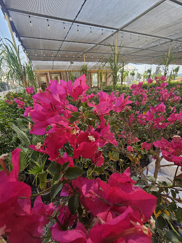 Comentarii opinii despre BABA FARM HOUSE