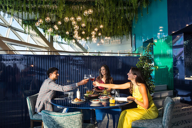 Cyan Brasserie - Abu Dhabi