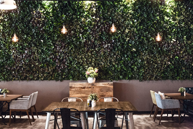 Lounge Cafe Italiano - Hospitality and gastronomy