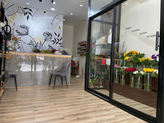 Exotica Flowers - Fujairah