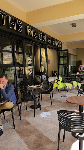 Opinii despre TTMB în Dubai - Hospitality and gastronomy