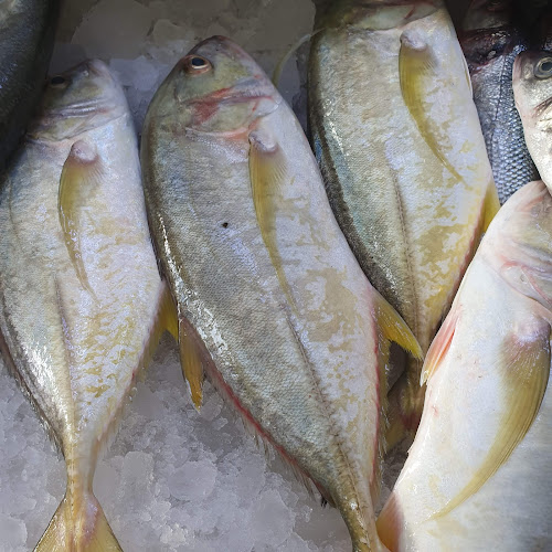 Muwaileh Commercial - Industrial Area - Sharjah