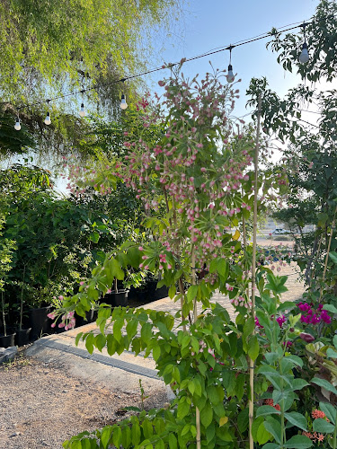 Al Digdaga - Ras Al Khaimah