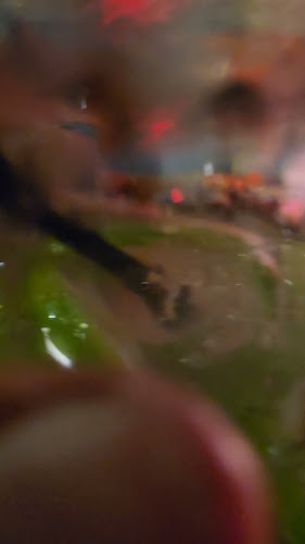 Opinii despre Amerigos Mexican Bar & Restaurant în Abu Dhabi - Hospitality and gastronomy