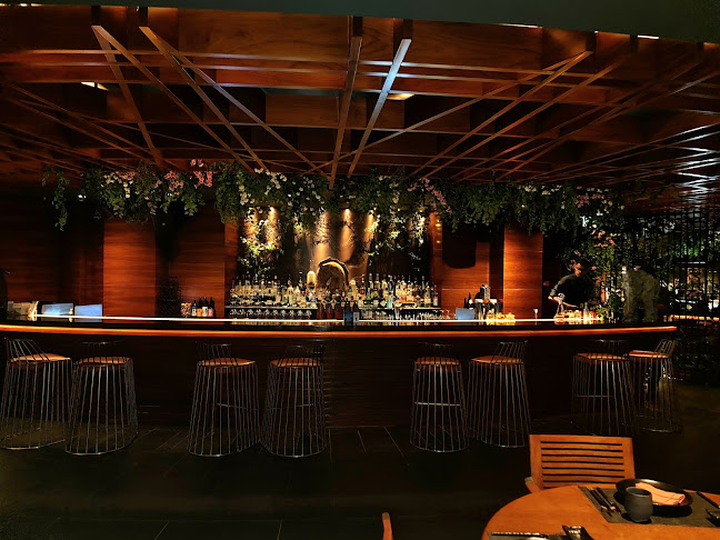 Zengo - Hospitality and gastronomy